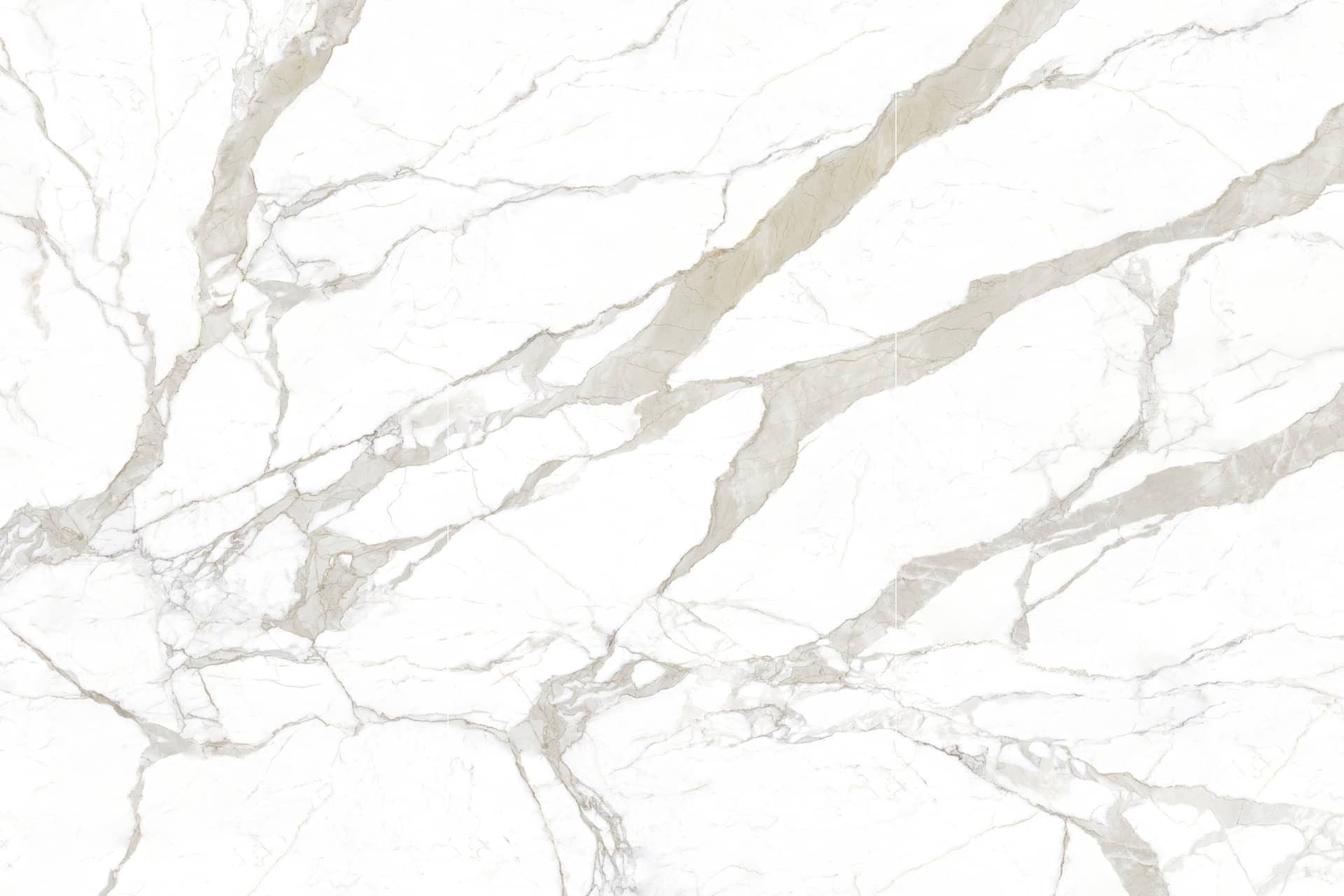 Calacatta Bianco