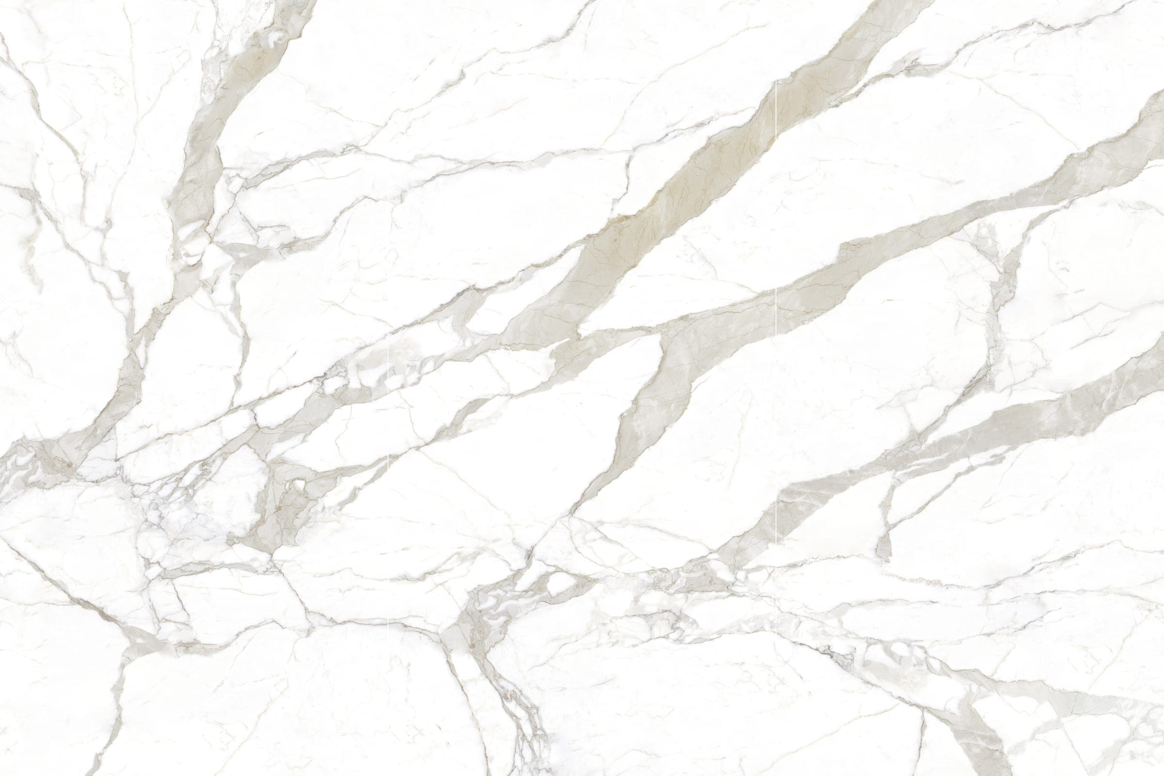 Calacatta Bianco