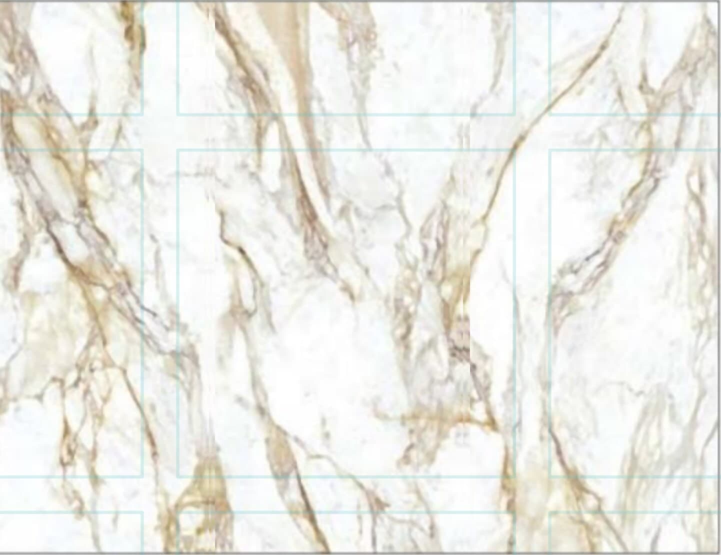 Calacatta Royal