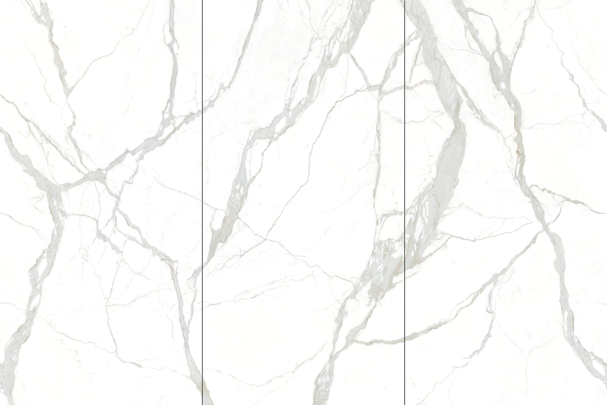 Calacatta White